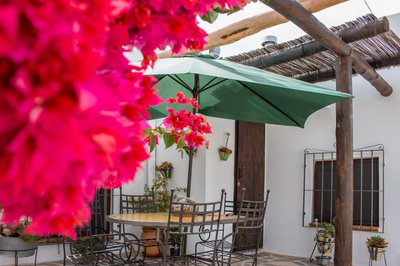Villa Aurora Nijar Parque Natural Cabo Gata Ngoại thất bức ảnh